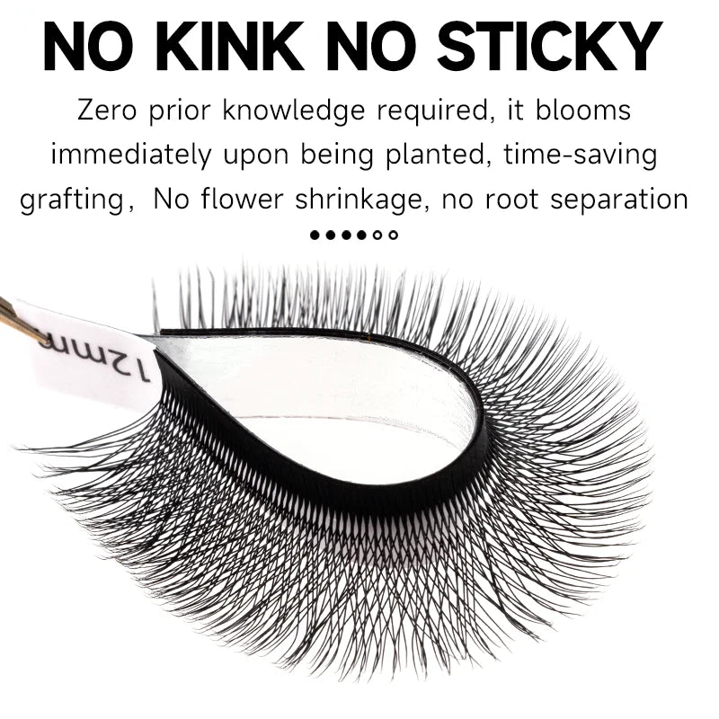 JASBLUE 4D W Shaped Eyelash Extension Premade Fans Natural Soft Light Individual Lashes 12 Lows False Eyelash CD Curl