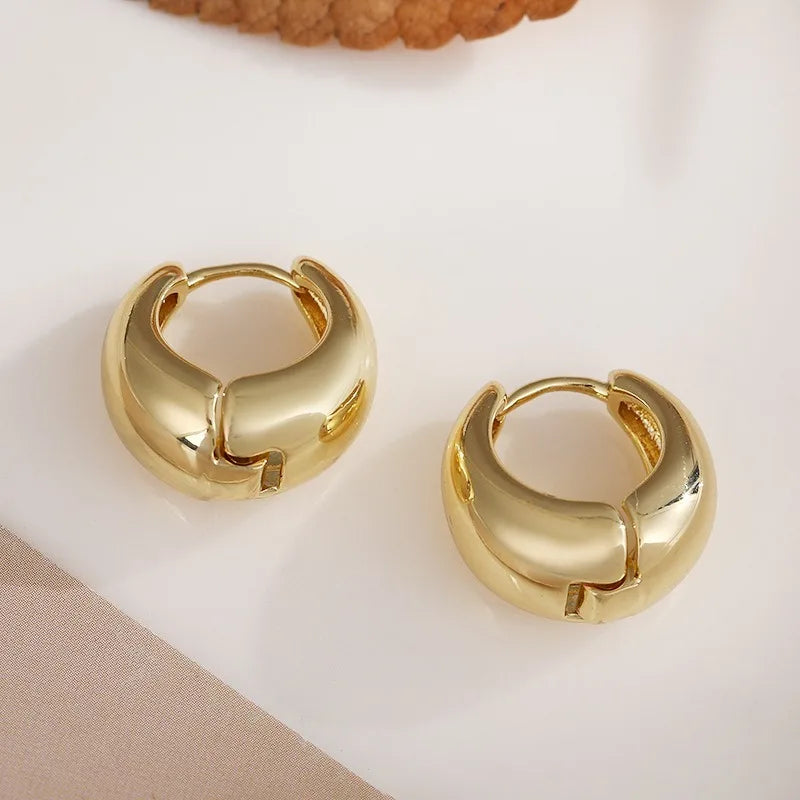 Vintage Chunky Stainless Steel Hoop Earrings For Women Fashion Simple Round Circle Simple Earrings Party Jewelry Holiday Gifts