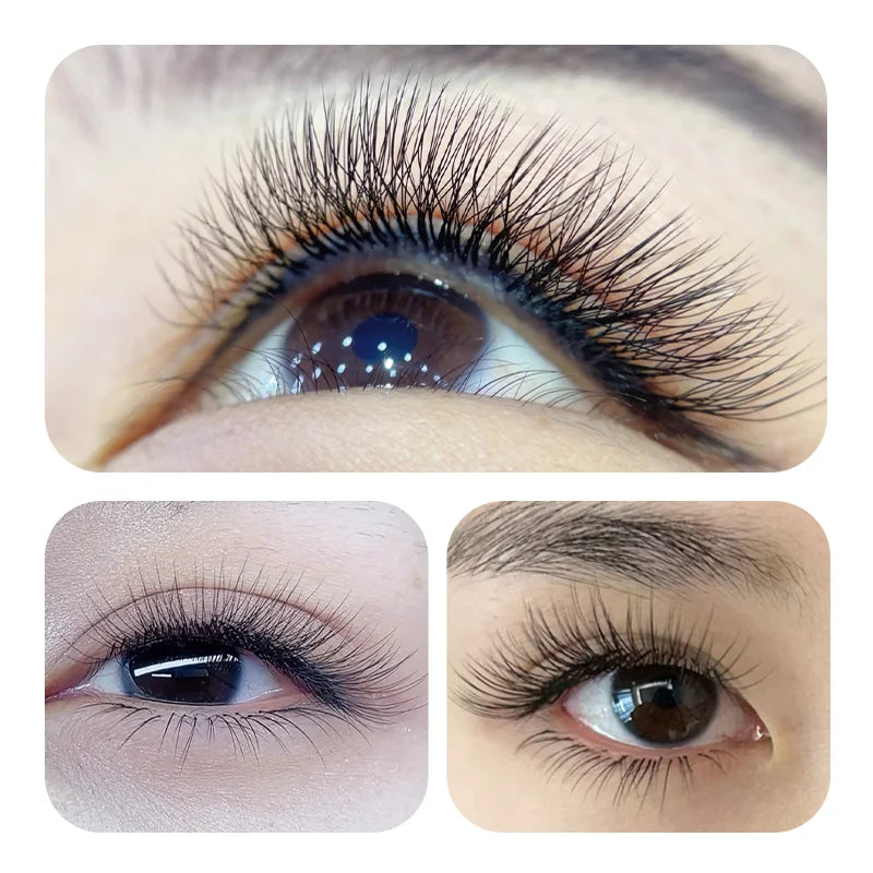 JASBLUE 4D W Shaped Eyelash Extension Premade Fans Natural Soft Light Individual Lashes 12 Lows False Eyelash CD Curl